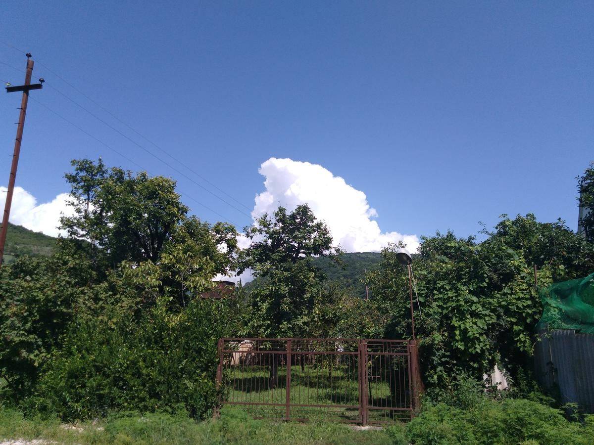 Фото Гостевого дома Гостевой дом Мария Цандрыпш 17